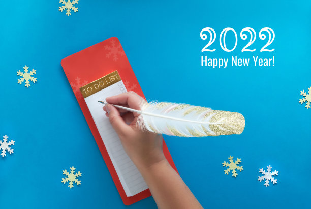 鹅毛笔,一个人,新年前夕