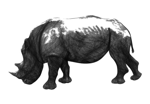 动物素描犀牛