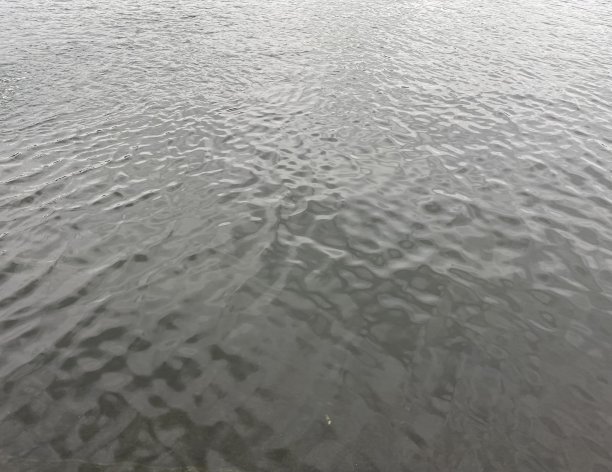波纹,背景,湿