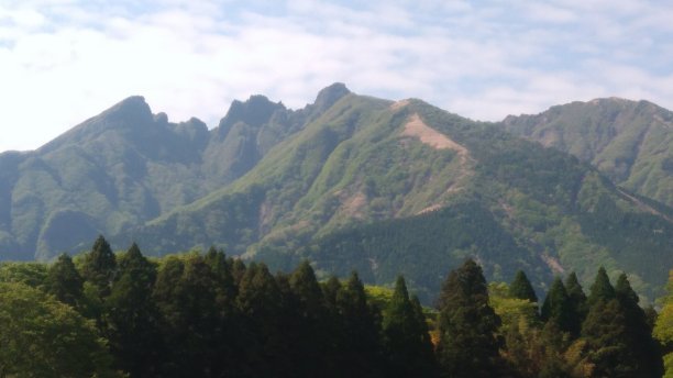 高山,,麻生太郎