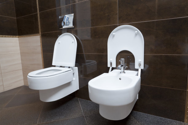 bidet