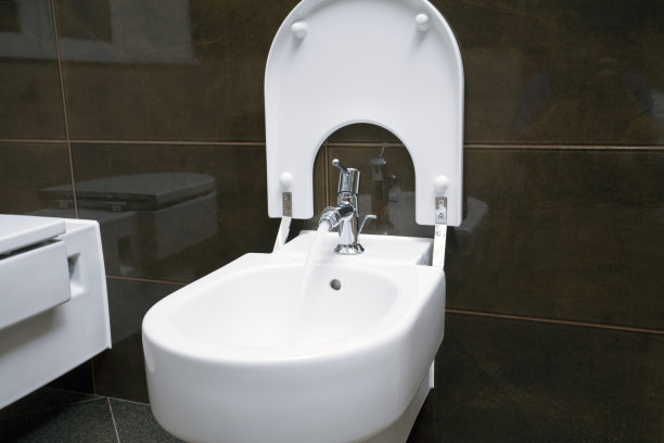 bidet