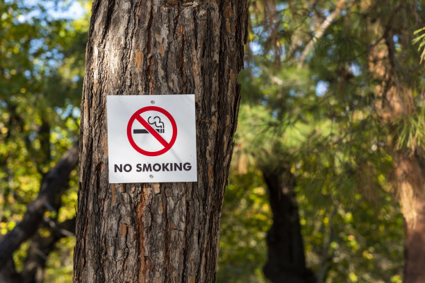 请勿吸烟标识牌