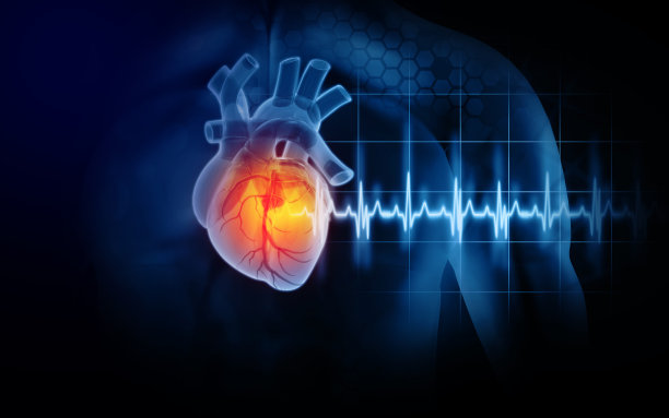 heart