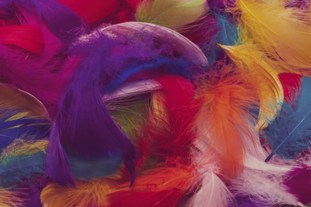preen
