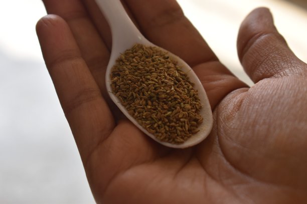 ayurveda