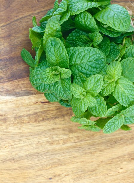 spearmint