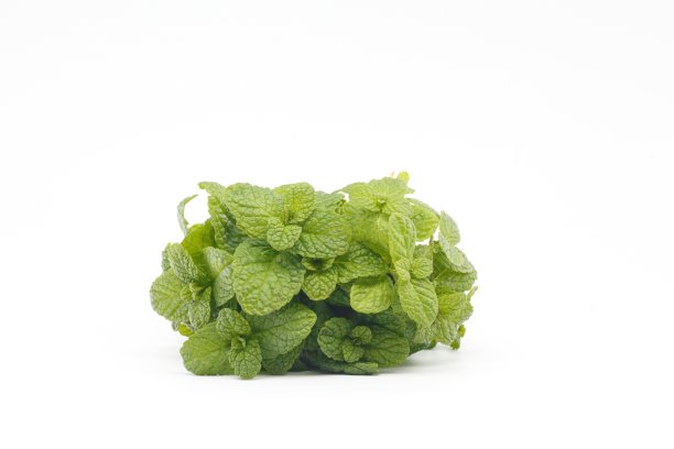 spearmint