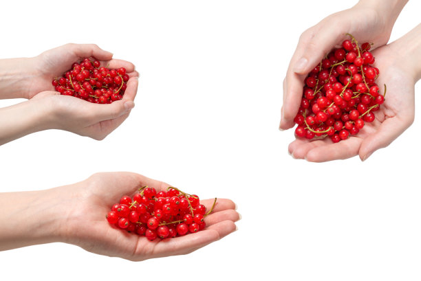 redcurrant