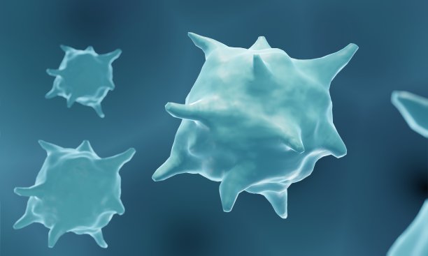 bacteria