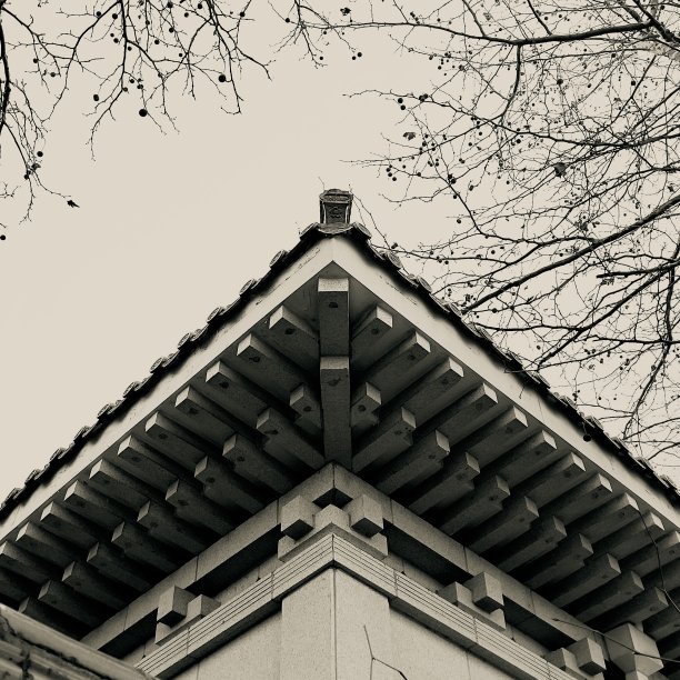 青岛寺庙