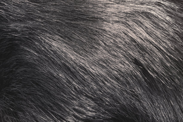hairs