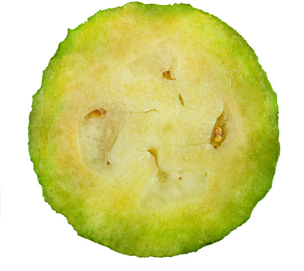 acca