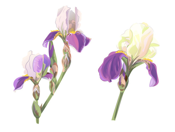 中式婚礼效果图