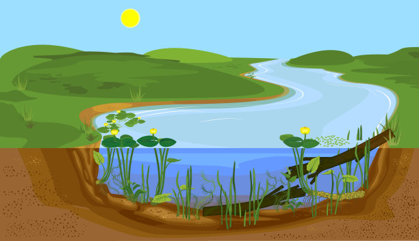 duckweed