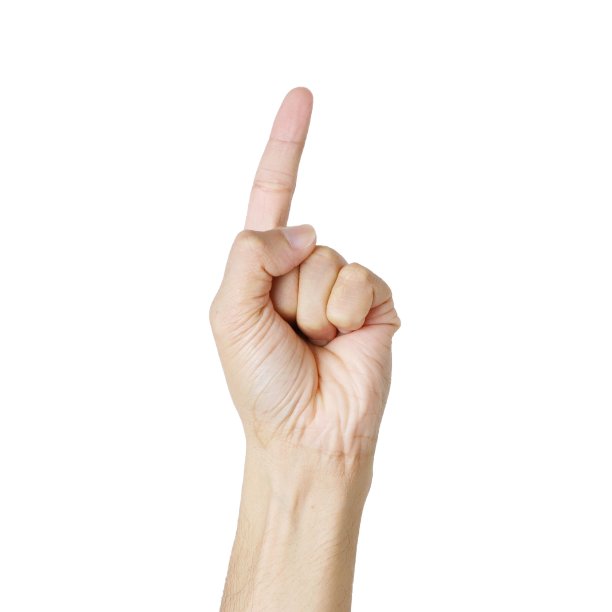 fingers