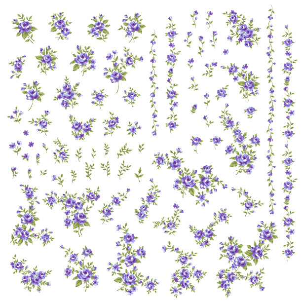 花蕾,花簇,植物学