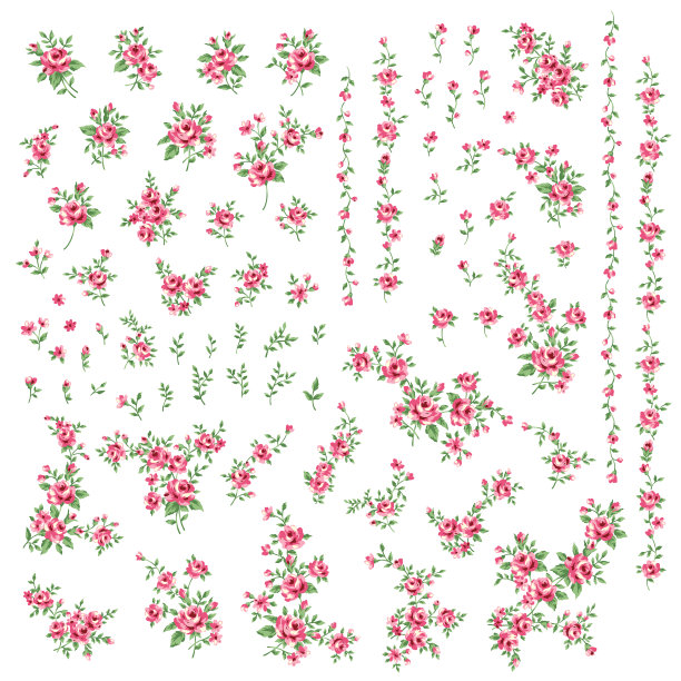 花蕾,花簇,植物学