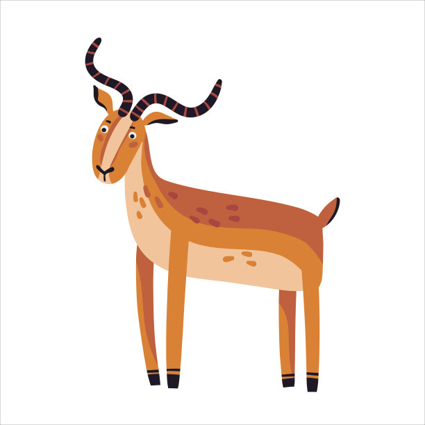 antelope