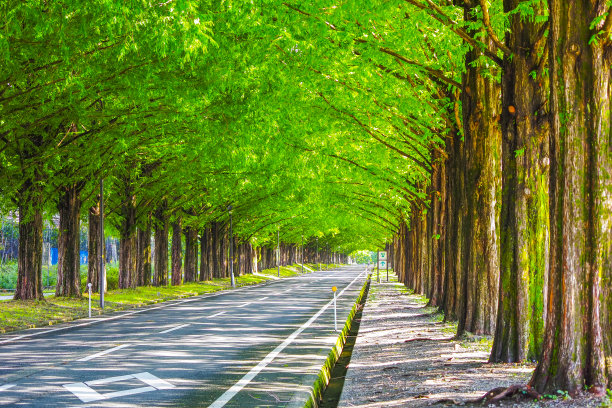 avenue