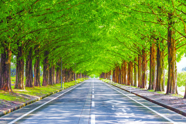 avenue