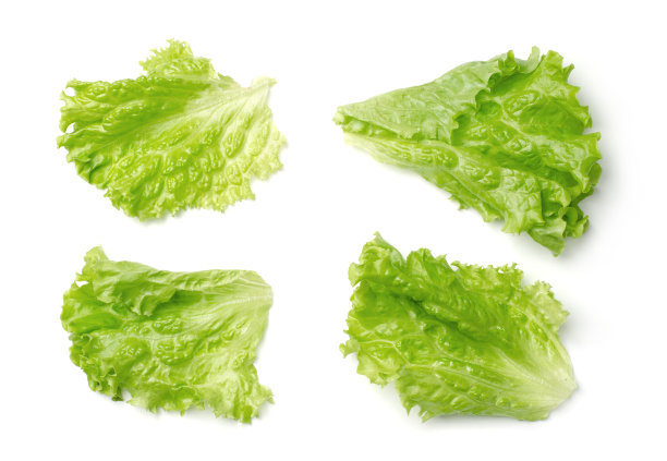 romaine