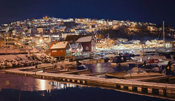 narvik