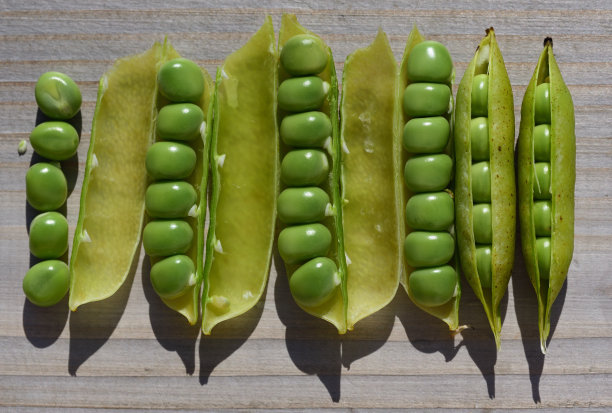 pod