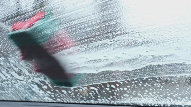 windshield