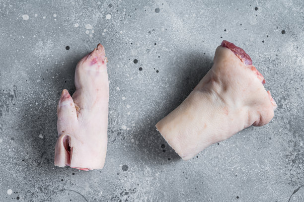 trotter