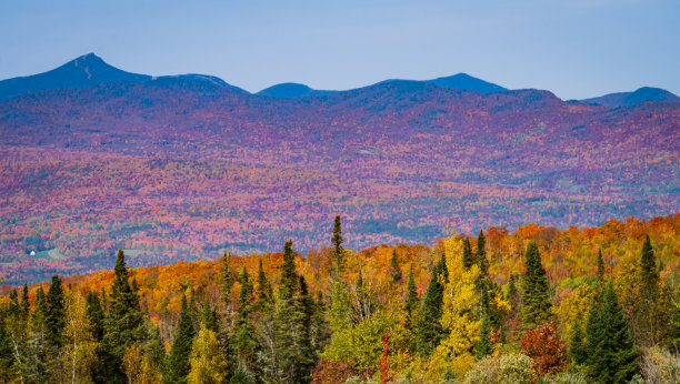 vt