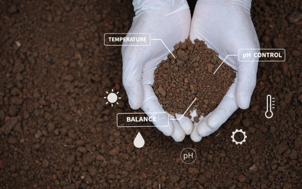 dirt