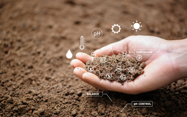 dirt