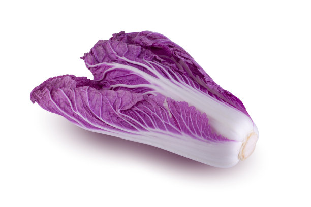 紫色大白菜
