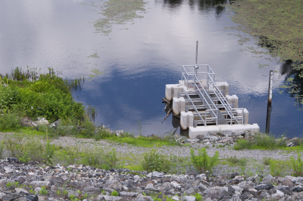 skimmer