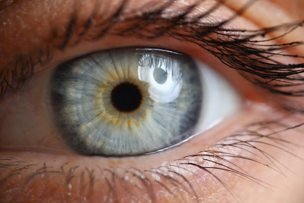 eye