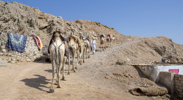 convoy