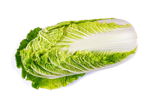 大白菜
