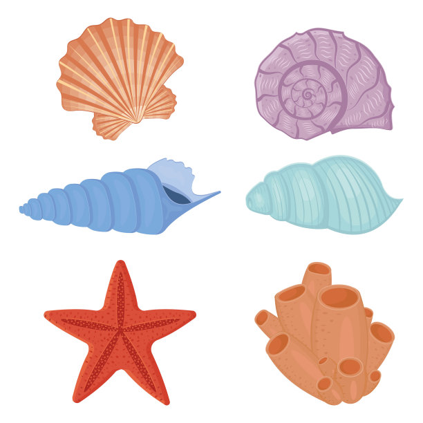 tridacna
