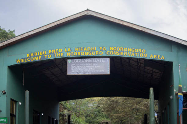 ngorongoro