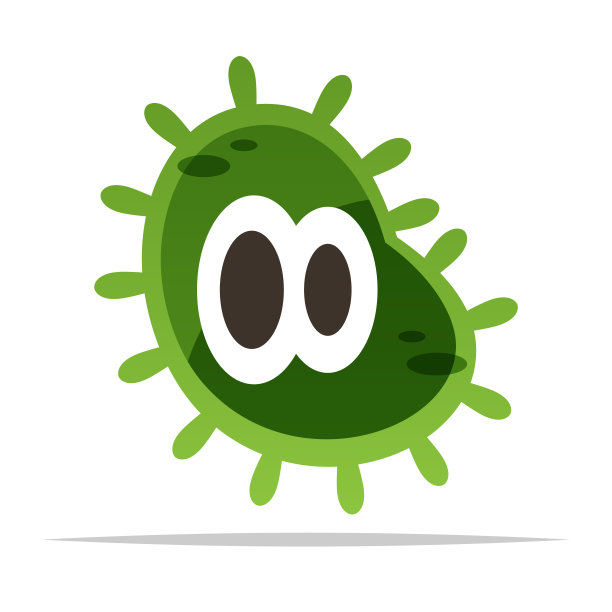 bacteria