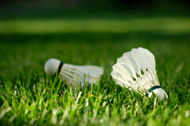 badminton