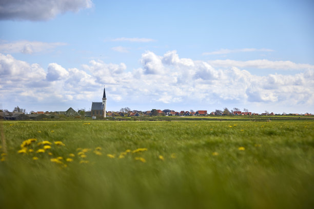 _texel