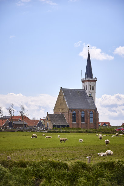 _texel