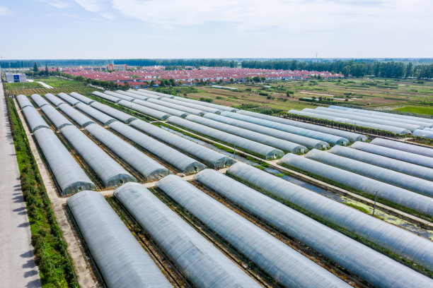 greenhouse