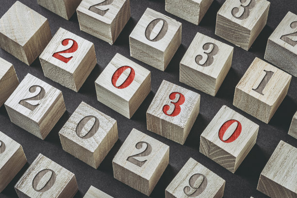 2029