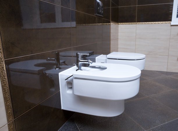 bidet