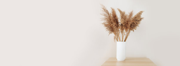 cortaderia