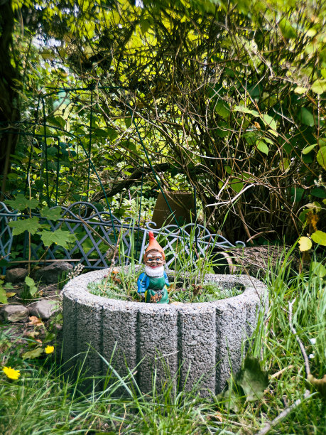 gnome