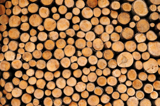 wood